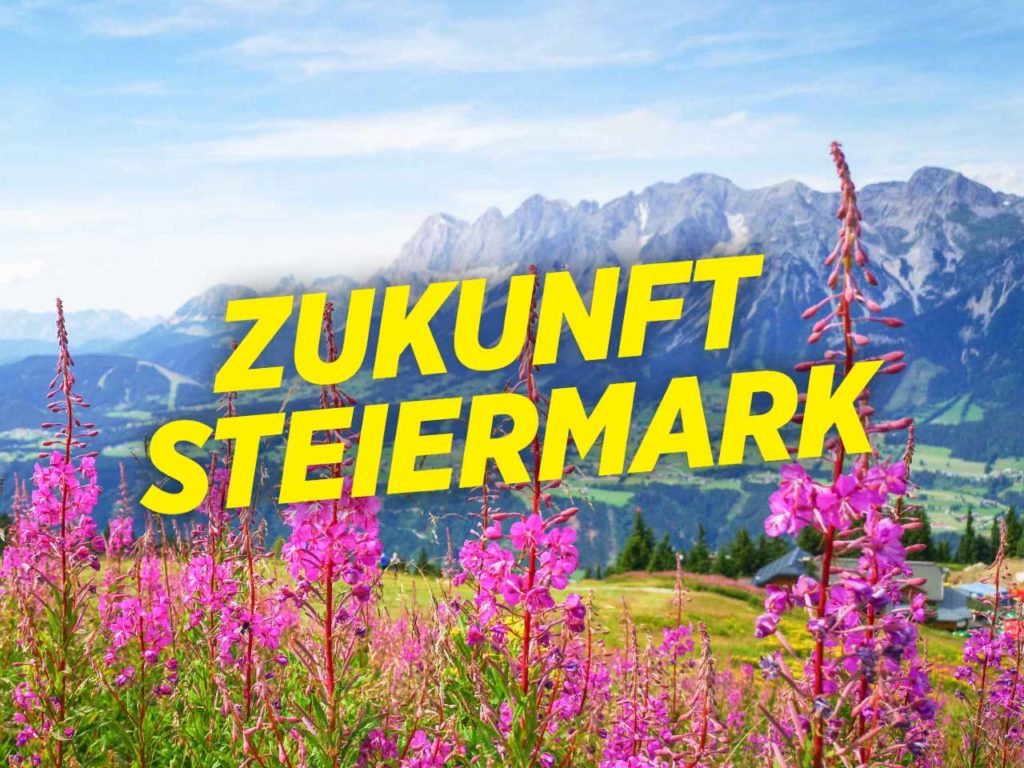 Webseite Zukunft Steiermark