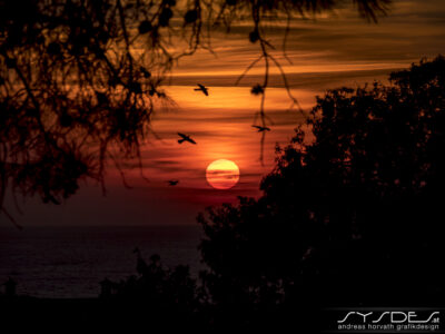 Zypern-Paphos-Sonnenuntergang