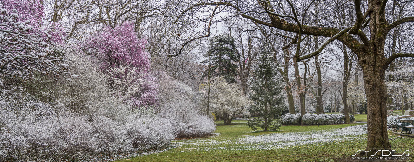 Schneebedeckte blühende Bäume und Büsche im Park
