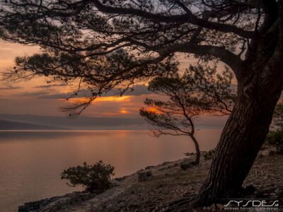 Insel Hvar - Sonnenaufgang mit Baum