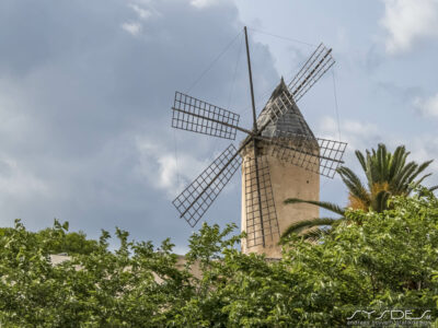 Windmühle in Palma de Mallorca, Molins del barri del Jonquet