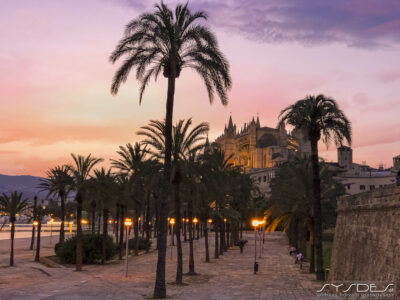 Sonnenuntergang in Palma de Mallorca - Catedral de Mallorca