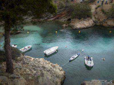 Idylische Bucht von Platja Caló de ses Llisses, Cala Fornells, Mallorca